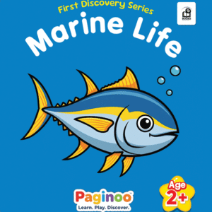 First Discovery Series - Marine Life Front Cover